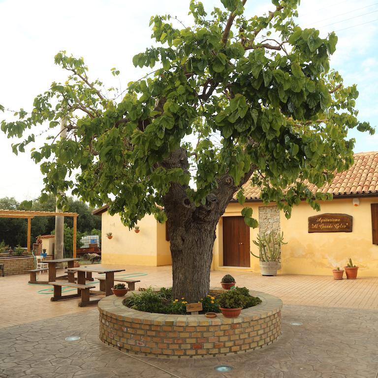Bauernhof Al Grande Gelso
